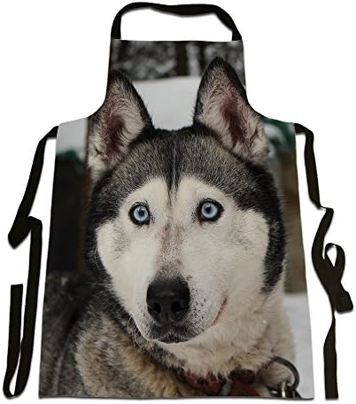 Husky, Photographic Image, Great Quality Canvas Apron, Size 25in x 35in approximately