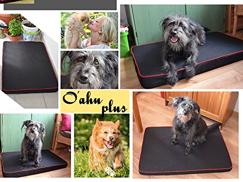 Fortisline-Coussin-pour-Chien-OAHU-Tapis-Matelas-orthopdique-XL-120x80x8-cm-NoirRouge-W41901