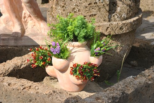 Kräuter-oder Erdbeertopf,Terracotta,ca.34cm - 4