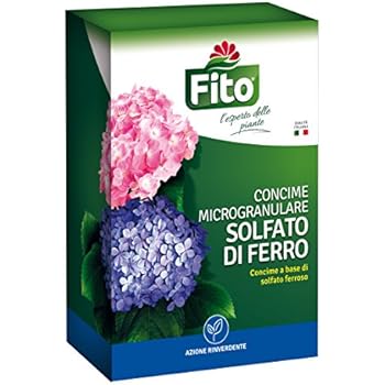 Iron Max Solfato Ferro Granulare 5kg - Rinverdente Prato, Antimuschio, Concime Con Ferro E Zolfo - Foto 5