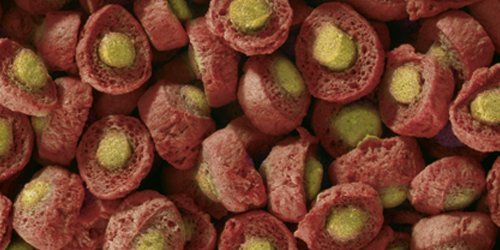 sera 07009 KOI Professional Frühjahr-/Herbstfutter 7 kg – das leicht verdauliche Futter für Temperaturen unter 17 °C - 2