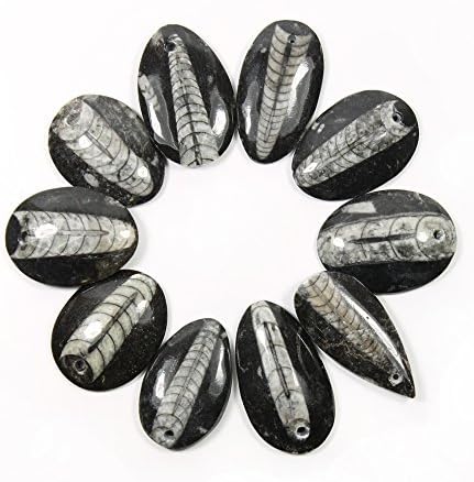 1 Orthoceras Pendant