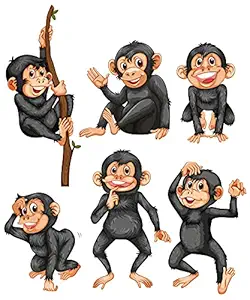 Monkey Wall Stickers Set of 6 Small Wall Stickers. Kids Room Wall Sticker, Kids Sticker, Wall Decals. Switch Board Wall Sticker. Comes in Hard Rolling Tube Safely. Size 12 X 10 inch.