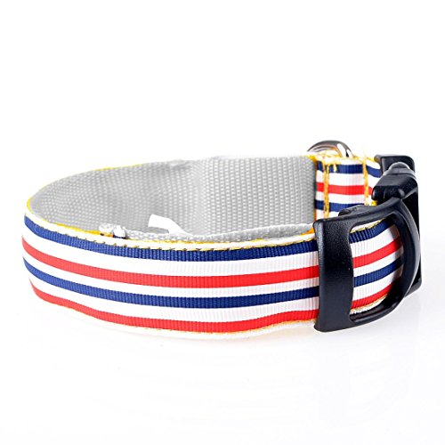 Pets-Dogs-Night-Strip-Collar-Flash-Light-Up-Led-Collars-Safety-Waterproof-Adjustable-Stripe-Colorful
