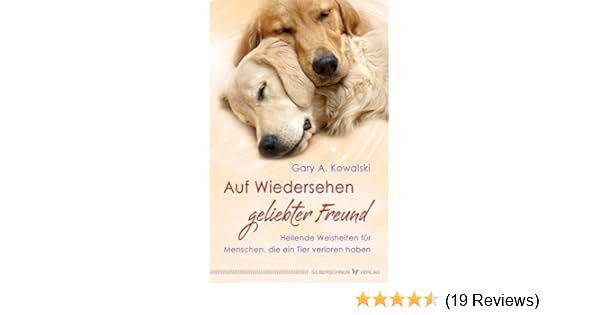 Download Falsche menschen weisheiten Desktop Wallpaper Free