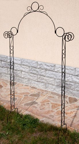 DanDiBo Spalier Rosenbogen 80008 Rankhilfe Rankgitter H-160 cm Kletterhilfe Pergola Zaun - 4