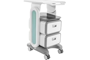 QRANSEUYXY Carro médico con 2 cajones, carrito de salón de belleza, carrito de cosméticos, carrito de oficina con ruedas