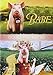 Babe/Babe: Pig In The City [DVD]