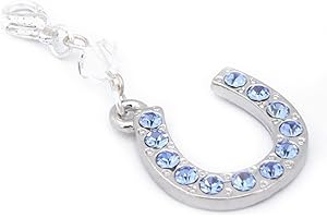 OCCASIONS EMPORIUM Lucky Horseshoe Garter Charm - Something Blue