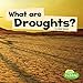 Produktbild What Are Droughts (Little Pebble)