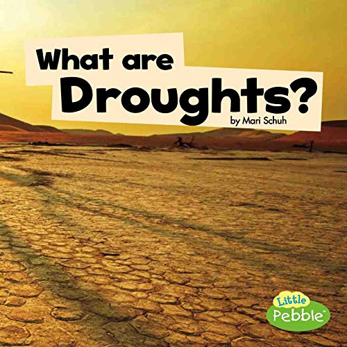 Preisvergleich Produktbild What Are Droughts (Little Pebble)