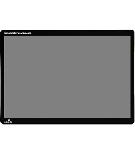 Fotodiox GrayTarget Falt-Reflektor Mit Graukarte – Handhalterung, Für Weißabgleich & Aufhellblitz (silber)