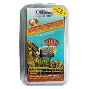 Ocean Nutrition Brown Marine Algae 30g