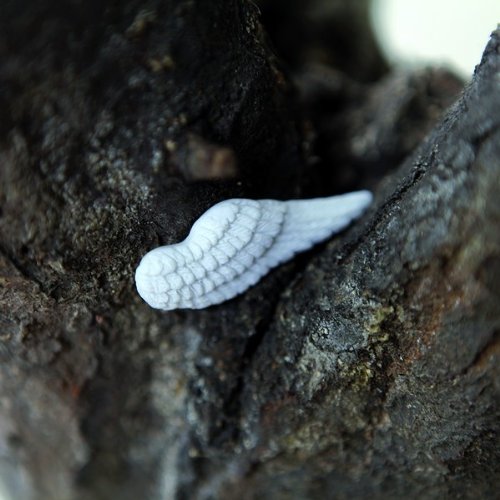 Himmelsboten Glücksbringer Engel an Deiner Seite - 3