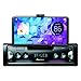 Price comparison product image PIONEER SPH-10BT 1-DIN Autoradio-Set für LKW/Truck/Bus/24 Volt/24V