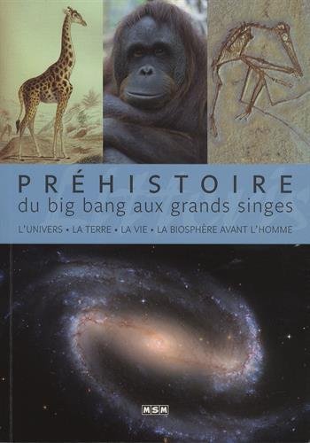 Préhistoire, du big bang aux grands singes : L'univers, la Terre, la vie, la biosphère avant l'Homme francais