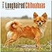 Longhaired Chihuahuas 2014 - Langhaar-Chihuahuas: Original BrownTrout-Kalender [Mehrsprachig] [Kalender] by 