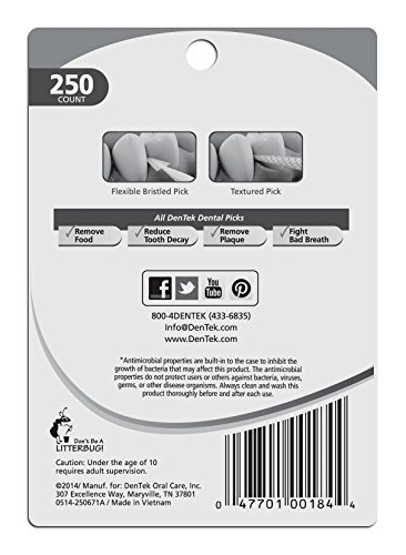 Dentek Deep Clean Bristle Picks Mint 250 Count (6 Pack)