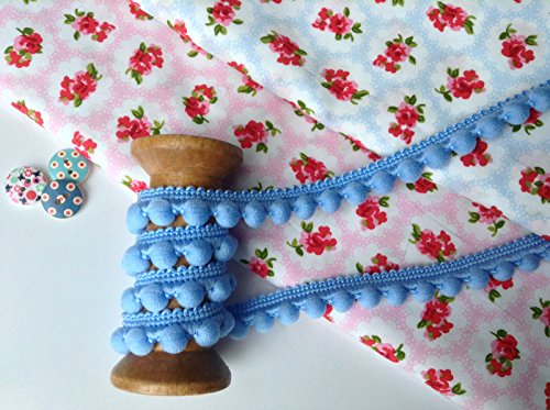 HomeBuy Nastro di Passamaneria con mini pompon, finiture di ottima qualità, 10 mm x 1 m, 26 colori disponibili Sky Blue