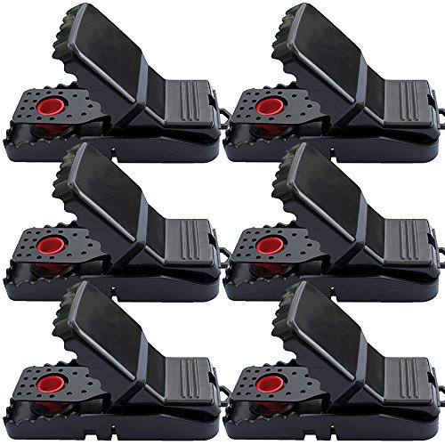 Preisvergleich Produktbild proheim Mausefalle Powersnap professionelle Schlagfalle im Sparpack mehrfach verwendbar Mäusefalle effektiv und hygienisch, Menge:6er Set