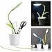 iTree Sapling Desk Lamp, Usb Rechargeable Led Light Eye-Care Studying Lamp Flexible Neck ,(Green) RS.999.00