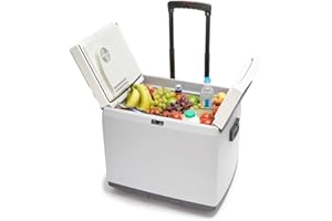 Hi-Gear 45 Litre Cooler with Integrated Handle & Wheels, 12V In Car Socket & 240V Mains Socket, Portable, Spacious, Wheeled, 45L Electric Cool Box, Camping, Travel, Picnics, Festivals, Grey