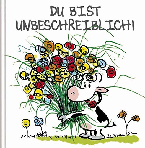 Du bist unbeschreiblich!: Cortoon-Geschenkbuch von Herzem