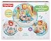 Fisher-Price 2-in-1 Sensory Stages Bouncer
