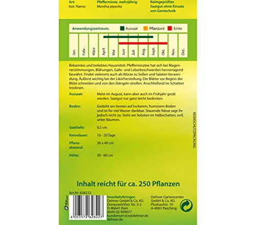 Dehner Kräuter-Saatgut, Pfefferminze, 5er Pack (5 x 2 g) - 2