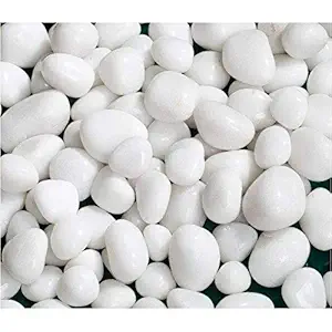 White Pebbles Natural Decorative Stone Small Polished Gravel River Rocks for Aquariums, Vase Fillers, Landscaping, Succulent (White, 950 Gram)