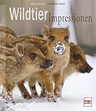 Image de Wildtier-Impressionen