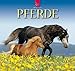 Pferde 2010 by