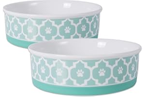 Bone Dry, Haustiernapf, Abnehmbarer Silikonring, rutschfeste Unterseite, sicheres Füttern, weniger Unordnung, mikrowellen- und spülmaschinenfest, großes Set, 19,1 x 6,1 cm, Aqua, 2 Stück