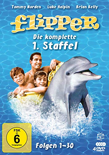 Flipper - Die komplette 1. Staffel [4 DVDs]: Amazon.de: Brian Kelly ...