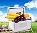Produktbild SHISHANG Portable 12L Halbleiter heiß und kalt Auto Kühlschrank Haus und Auto intelligente Kühlschrank Qualität ABS Spannung 12V Auto 220V Home Power 68 (W) Gewicht 6kg Größe: 40 * 28 * 29 * cm