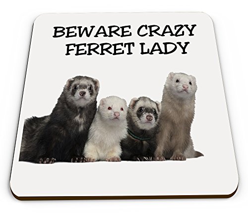 Crazy Ferret Lady Novelty Funny Mug Coaster