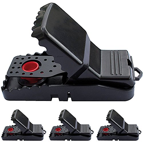 4x Profi Mausefalle POWERSNAP professionelle Schlagfalle mehrfach verwendbar effektiv und hygienisch