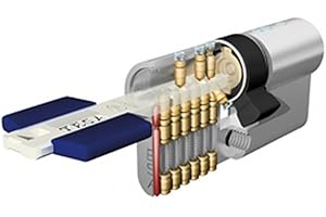 Tesa Assa Abloy TX853040N Cilindro ad alta sicurezza TX80 Doppia Frizione Nichelato 30 x 40 mm Chiave a camma lunga