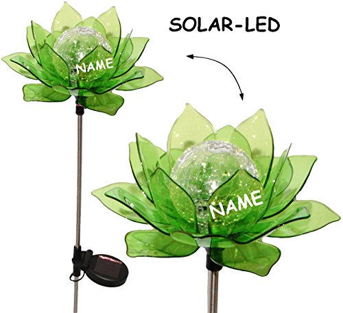 Solar Leuchte – “ Blume & Blüte – GRÜN “ – Solarblume mit LED Licht – Garten Wetterfest für Außen – Figur & Gartendeko Solarleuchte Solarbetrieben – Laterne Gartenleuchte Außenbeleuchtung – Solarleuchten Dekofigur / photovoltaik – Lampe / Gartendeko – Seerose - 3
