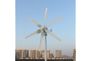 Genway 800W 12V 24V Windgenerator 3 Phase AC Windturbine mit 6 Flügeln horizontaler Windkraftanlage mit MPPT Laderegler für Zuhause