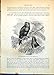 Produktbild Print Large-Beaked Cross-Bill Loxia Pityopsittacus Pine Tree C1874 221G363