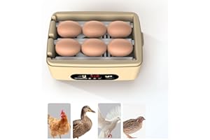 YEOOIYCW Mini Incubadora De Huevos,NUEVO 2024 totalmente automática, Incubadora de Aves de corral, Incubadora De Huevos, Silenciador para Ganso, Pájaros, Codornices, Pollo, Loro,Torneado automático (6 piezas)