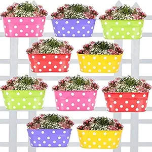 TrustBasket Dotted Oval Railing Planters (Magenta, Purple, Green, Red, Yellow) - Set of 10