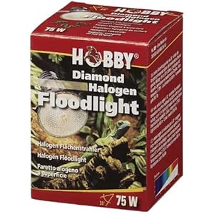 Diamond Halogen Floodlight, 75 W