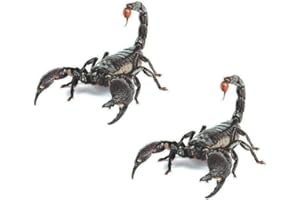 HUAMENGYUAN Etiqueta engomada del coche 3D,Animal de simulación Etiqueta Engomada Divertida Del Coche Pegatina Escorpión de metal para coche,Escorpión/Araña/Lagarto