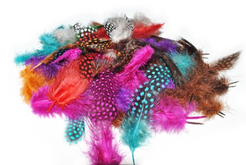 30 Mix Colour Guinea Fowl Natural Dyed Nail Art Feathers Manicure Fishing Craft Jewellery