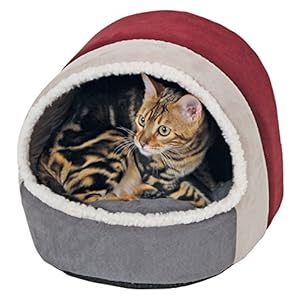 Kerbl, Accogliente Cuccia a Igloo Scamosciata Amelie, 35 cm x 33 cm x 32 cm, Bordeaux e Antracite Kerbl, Accogliente Cuccia a Igloo Scamosciata Amelie, 35 cm x 33 cm x 32 cm, Bordeaux e Antracite