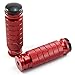 Aridox(TM) CNC Universal Motorcycle Foot Rests Foot Pegs Pedals Rear Set For Racing Sliver Blue Gold Red Green Orange Black C10
