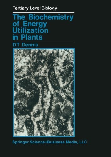 The Biochemistry of Energy Utilization in Plants (Soziale Arbeit als Wohlfahrtsproduktion) by D.T. Dennis (1986-10-31)