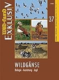 Image de WILD UND HUND Exklusiv Nr. 37: Wildgänse: Biologie - Ausrüstung - Jagd